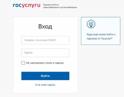 Вход в личный кабинет через Госуслуги